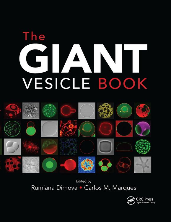 Produktbild: The Giant Vesicle Book