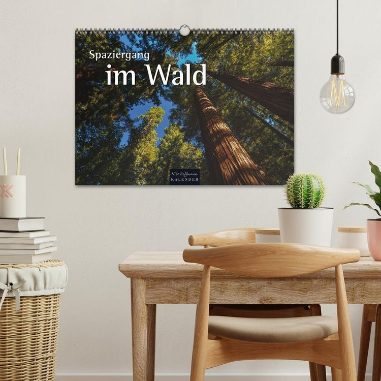 Produktbild: Spaziergang im Wald (Wandkalender 2026 DIN A3 quer), CALVENDO Monatskalender
