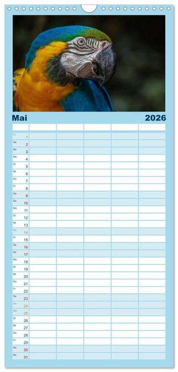 Produktbild: Familienplaner 2026 - Papageien - Frech, sch&ouml;n und schlau mit 5 Spalten (Wandkalender, 21 x 45 cm) CALVENDO