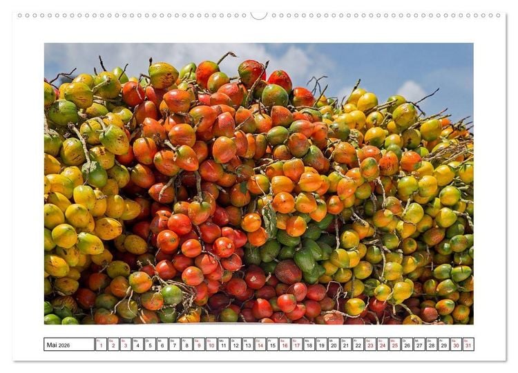 Produktbild: Panama - Streifz&uuml;ge durch atemberaubende K&uuml;sten-, Berg- und Stadtlandschaften (hochwertiger Premium Wandkalender 2026 DIN A2 quer), Kunstdruck in Hochglanz
