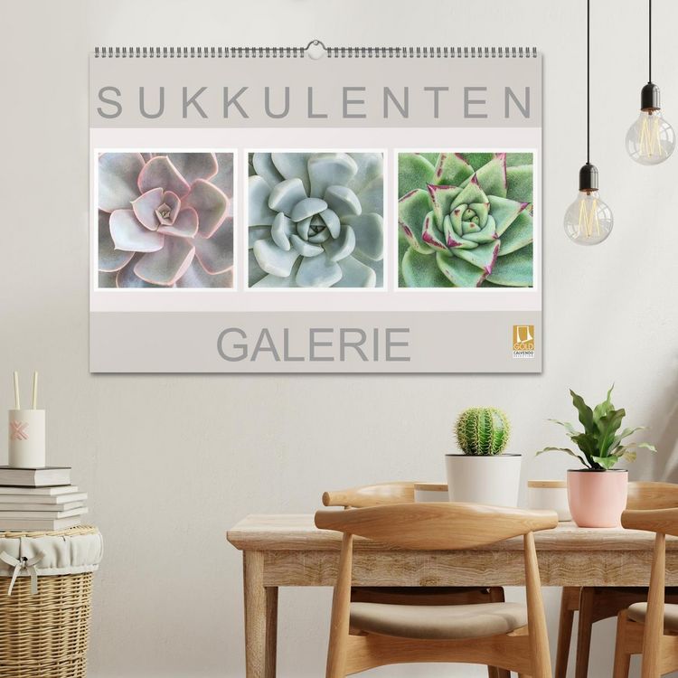 Produktbild: Sukkulenten Galerie (Wandkalender 2026 DIN A2 quer), CALVENDO Monatskalender