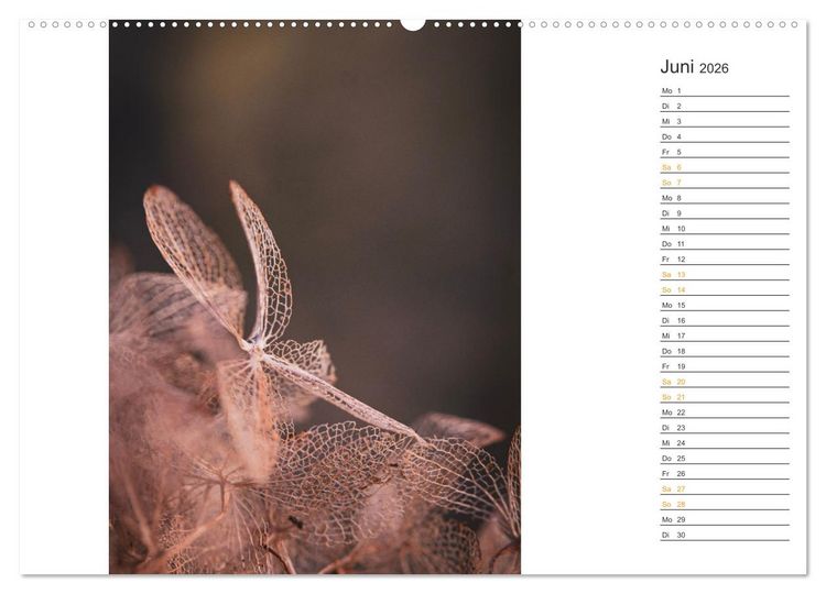 Produktbild: Kleine Wunder vor der Haust&uuml;r (hochwertiger Premium Wandkalender 2026 DIN A2 quer), Kunstdruck in Hochglanz