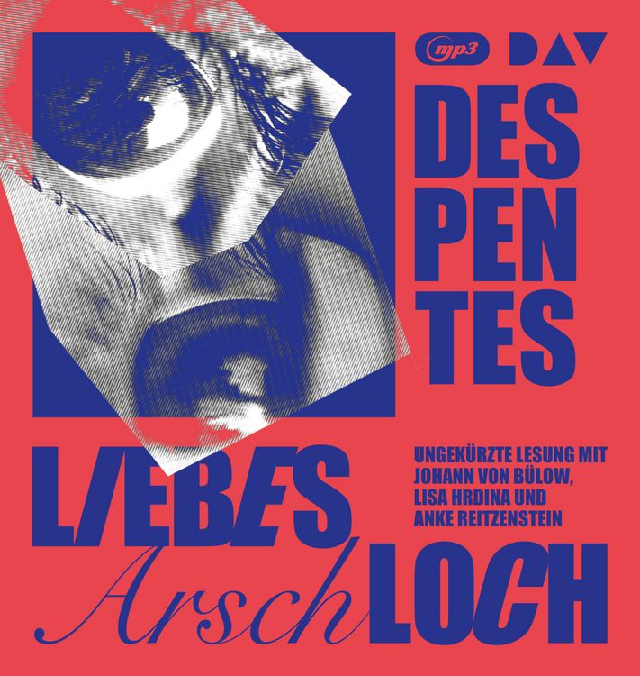 Produktbild: Liebes Arschloch