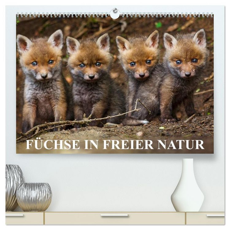 Produktbild: F&uuml;chse in freier Natur (hochwertiger Premium Wandkalender 2026 DIN A2 quer), Kunstdruck in Hochglanz