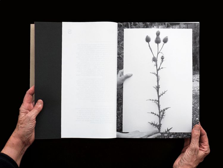 Produktbild: BLUMENLESE