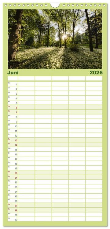 Produktbild: Familienplaner 2026 - Naturparadies Pf&auml;lzerwald mit 5 Spalten (Wandkalender, 21 x 45 cm) CALVENDO