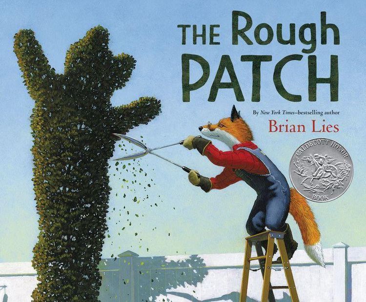 Produktbild: The Rough Patch