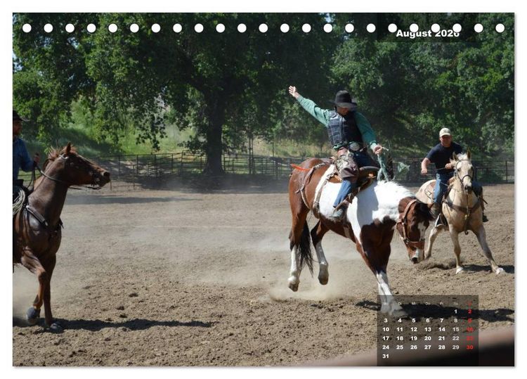 Produktbild: Faszination Rodeo (Tischkalender 2026 DIN A5 quer), CALVENDO Monatskalender