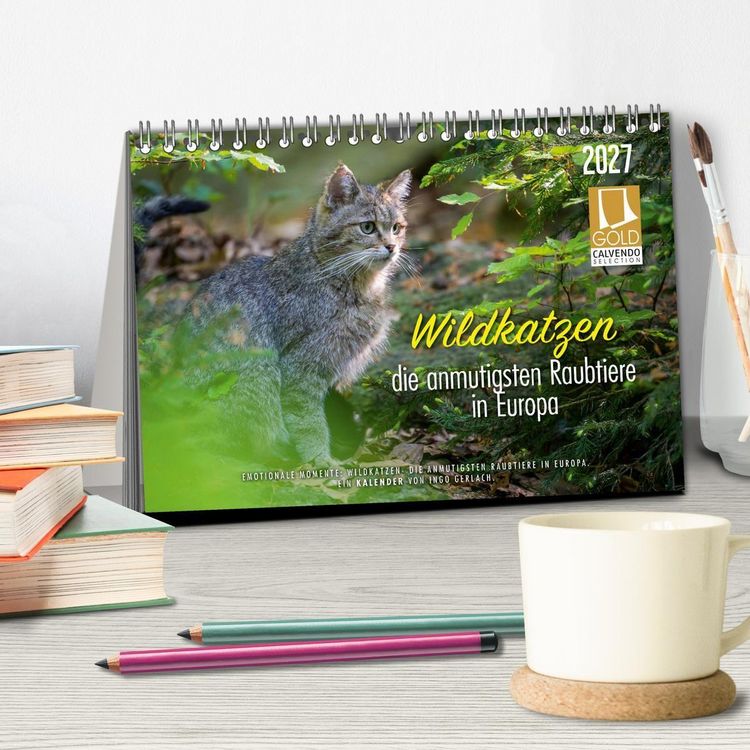 Produktbild: Wildkatzen - die anmutigsten Raubiere in Europa. (Tischkalender 2027 DIN A5 quer), CALVENDO Monatskalender
