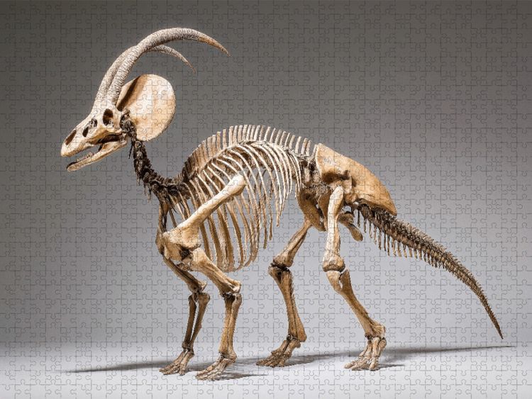 Produktbild: CALVENDO Puzzle Dinosaurier Parasaurolophus-Skelett mit markantem Kopfkamm | 1000 Teile Lege-Gr&ouml;&szlig;e 64x48cm Foto-Puzzle f&uuml;r gl&uuml;ckliche Stunden