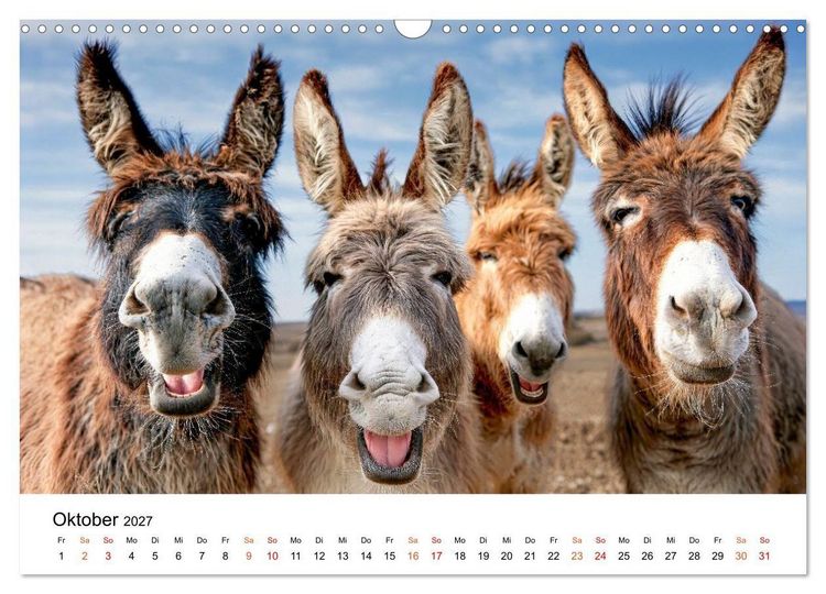 Produktbild: Esel - Humor mit langen Ohren (Wandkalender 2027 DIN A3 quer), CALVENDO Monatskalender