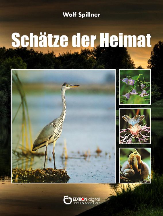 Produktbild: Sch&auml;tze der Heimat
