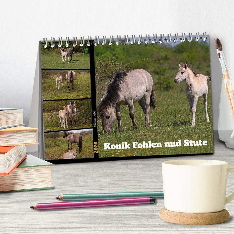 Produktbild: Mutterliebe - Konik Fohlen und Stute (Tischkalender 2026 DIN A5 quer), CALVENDO Monatskalender