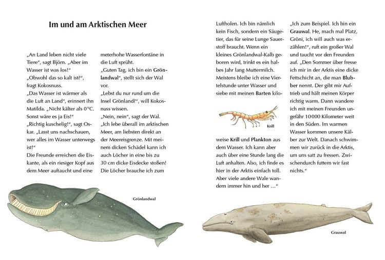 Produktbild: Alles klar! Der kleine Drache Kokosnuss erforscht das ewige Eis