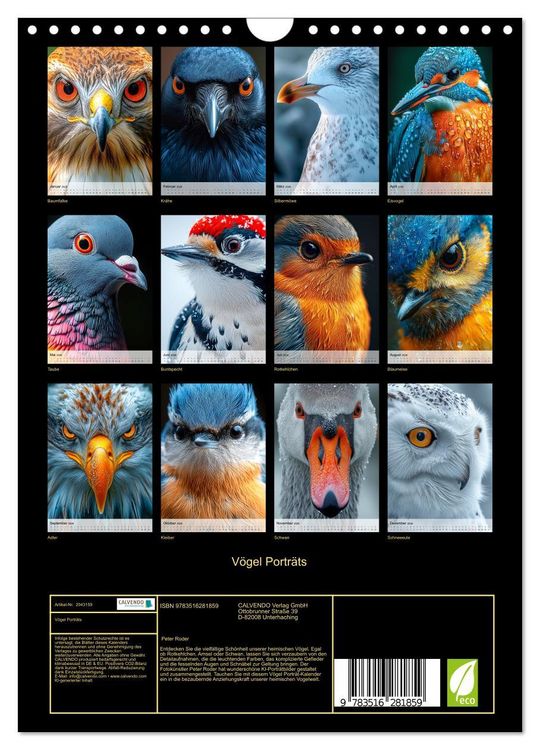 Produktbild: V&ouml;gel Portr&auml;ts (Wandkalender 2026 DIN A4 hoch), CALVENDO Monatskalender