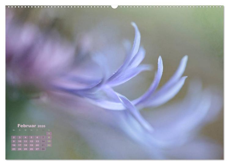 Produktbild: Zauberhafte Bl&uuml;ten (Wandkalender 2026 DIN A2 quer), CALVENDO Monatskalender