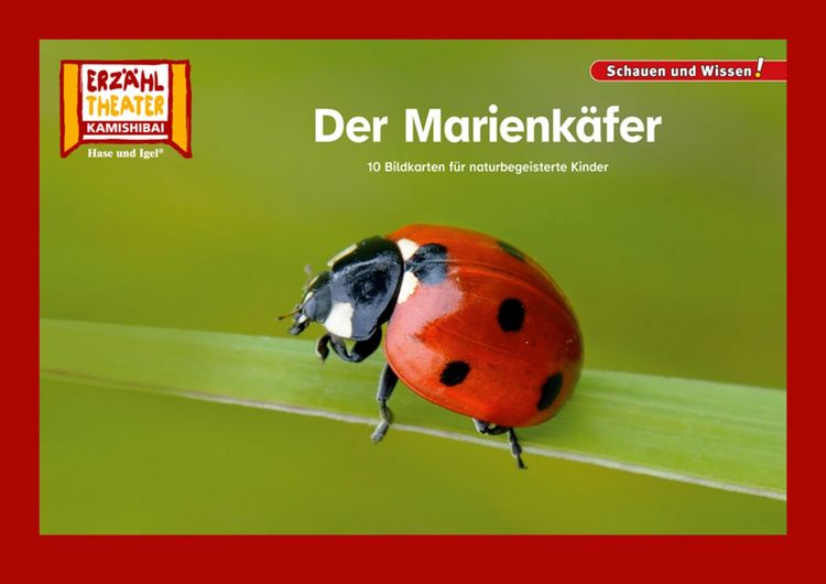 Produktbild: Der Marienk&auml;fer / Kamishibai Bildkarten