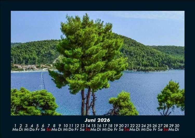 Produktbild: B&auml;ume 2026 Fotokalender DIN A5