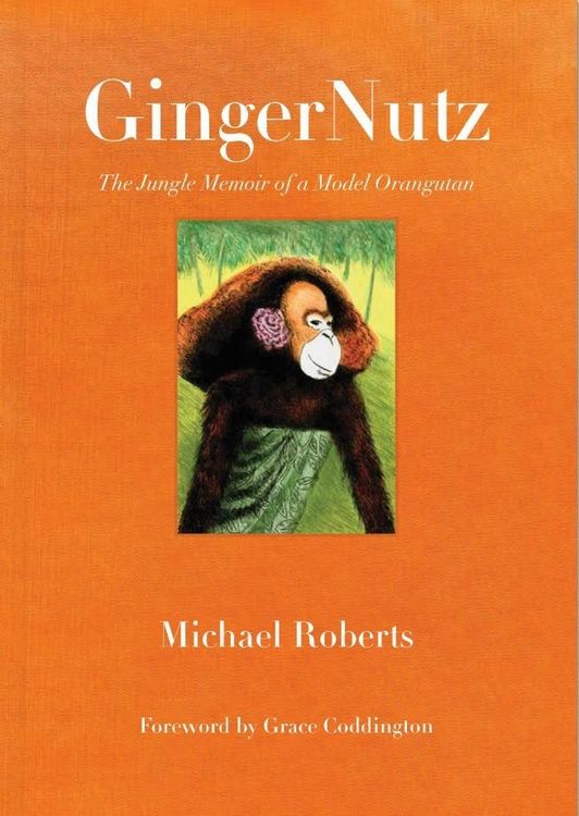 Produktbild: Gingernutz