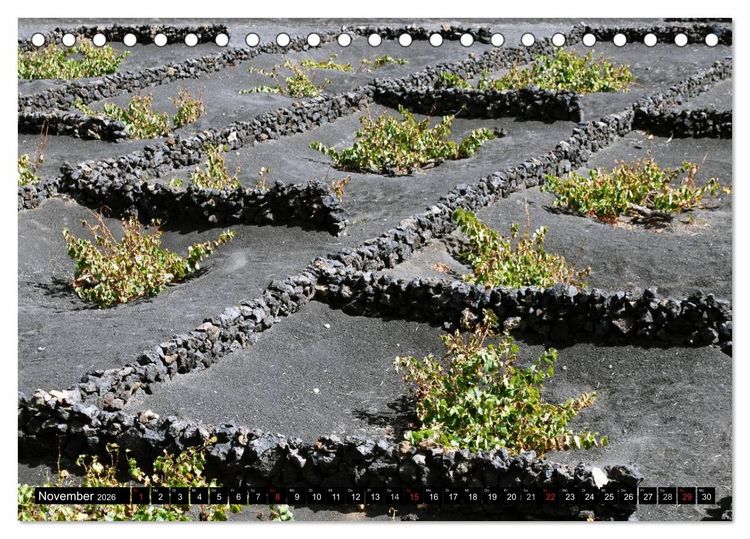 Produktbild: Lanzarote - Kanarische Inseln (Tischkalender 2026 DIN A5 quer), CALVENDO Monatskalender