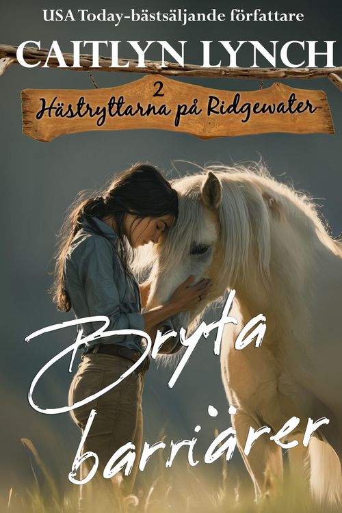 Produktbild: Bryta barri&auml;rer