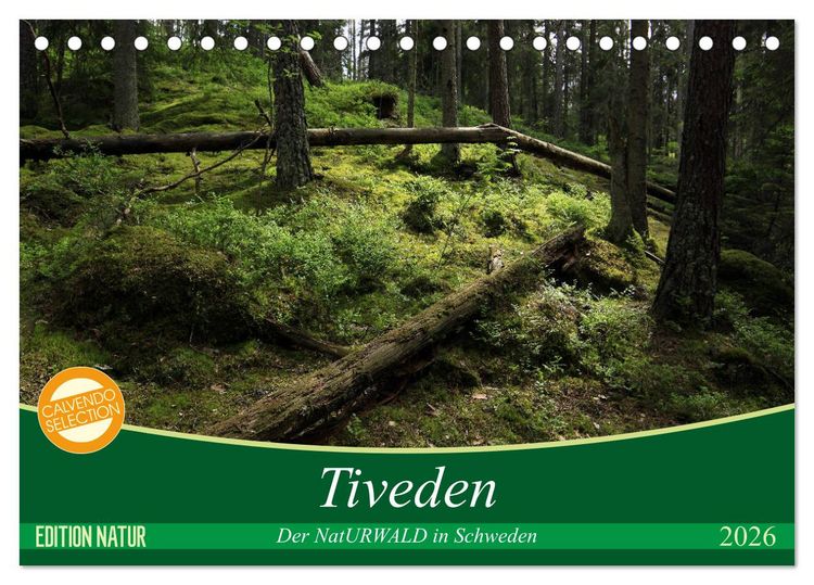 Produktbild: Tiveden, der NatURWALD in Schweden (Tischkalender 2026 DIN A5 quer), CALVENDO Monatskalender