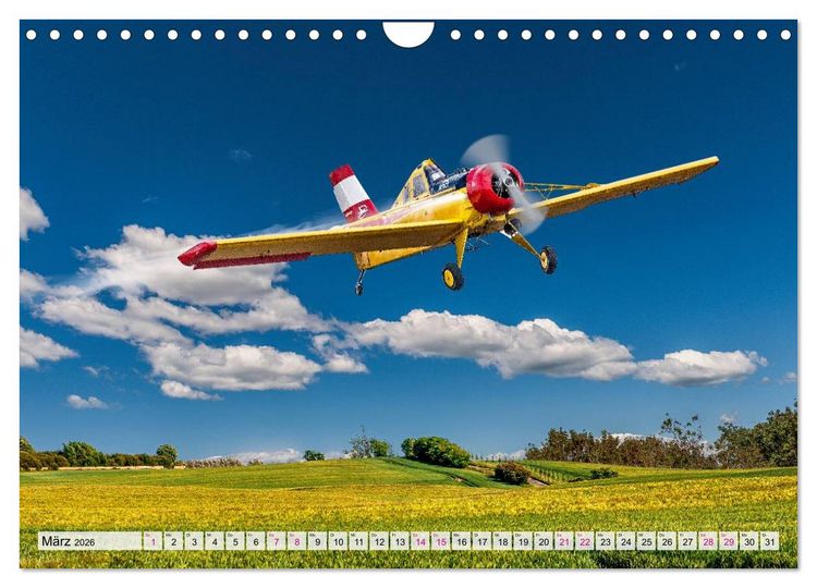 Produktbild: Modellflugzeuge in ACTION (Wandkalender 2026 DIN A4 quer), CALVENDO Monatskalender
