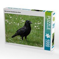 Produktbild: CALVENDO Puzzle Rabe auf der G&auml;nsebl&uuml;mchen Wiese 1000 Teile Lege-Gr&ouml;&szlig;e 64 x 48 cm Foto-Puzzle Bild von Kattobello
