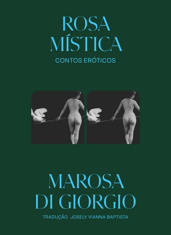 Produktbild: Rosa m&iacute;stica