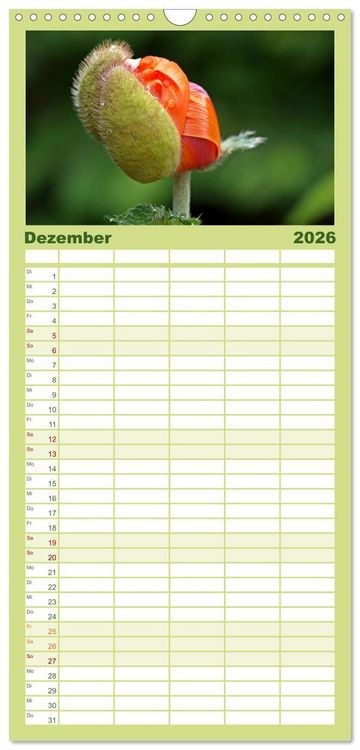 Produktbild: Familienplaner 2026 - Mohnblumen Tr&auml;ume mit 5 Spalten (Wandkalender, 21 x 45 cm) CALVENDO