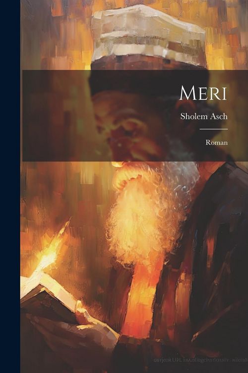 Produktbild: Meri: Roman