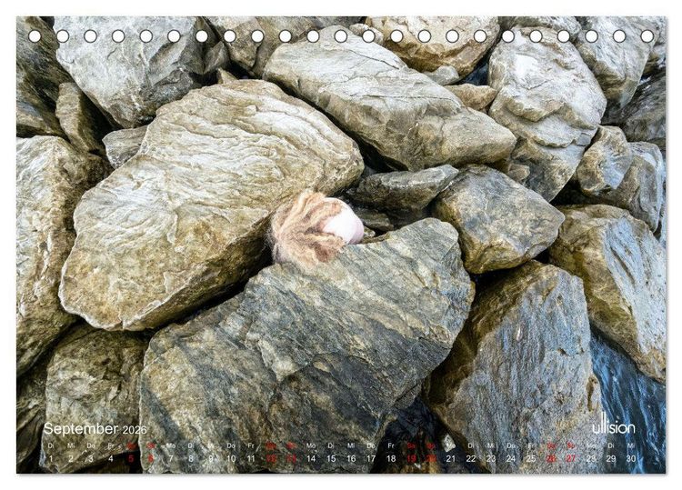 Produktbild: Poesie der Stille &ndash; Akt in der Natur (Tischkalender 2026 DIN A5 quer), CALVENDO Monatskalender
