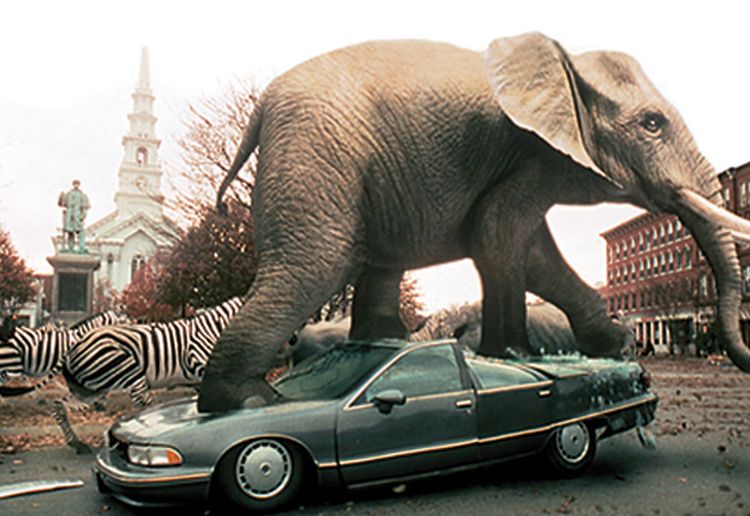 Jumanji Special Edition