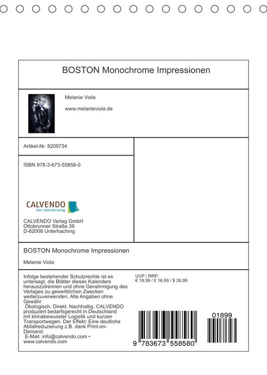 Produktbild: BOSTON Monochrome Impressionen (Tischkalender 2022 DIN A5 hoch)