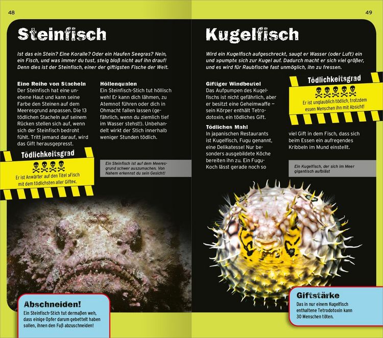 Produktbild: Die 100 t&ouml;dlichsten Dinge der Welt