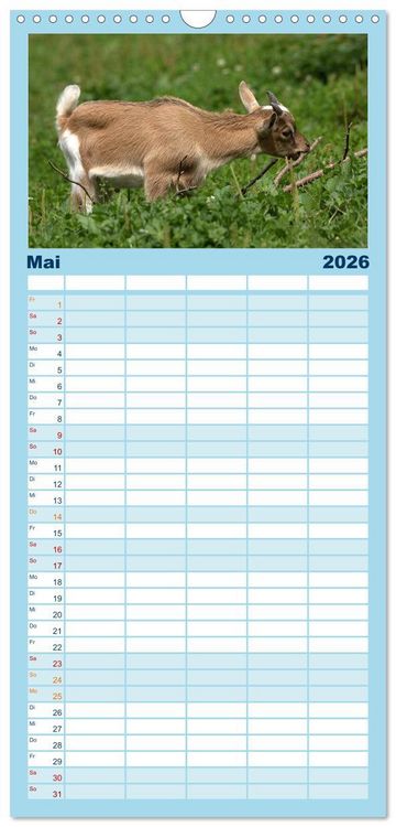 Produktbild: Familienplaner 2026 - Zwergziegen mit 5 Spalten (Wandkalender, 21 x 45 cm) CALVENDO