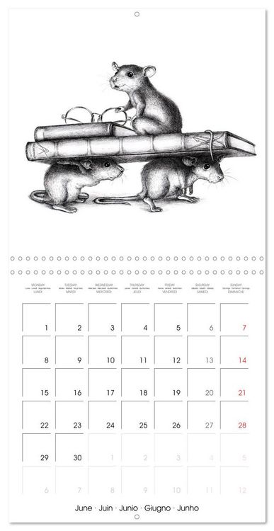 Produktbild: owls and mates 2026 (Wall Calendar 2026 12 &times; 12 Inch) CALVENDO 12 Month Wall Calendar