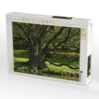 Produktbild: CALVENDO Puzzle Eiche, Schlo&szlig;park B&uuml;ckeburg | 1000 Teile Lege-Gr&ouml;&szlig;e 64x48cm Foto-Puzzle f&uuml;r gl&uuml;ckliche Stunden