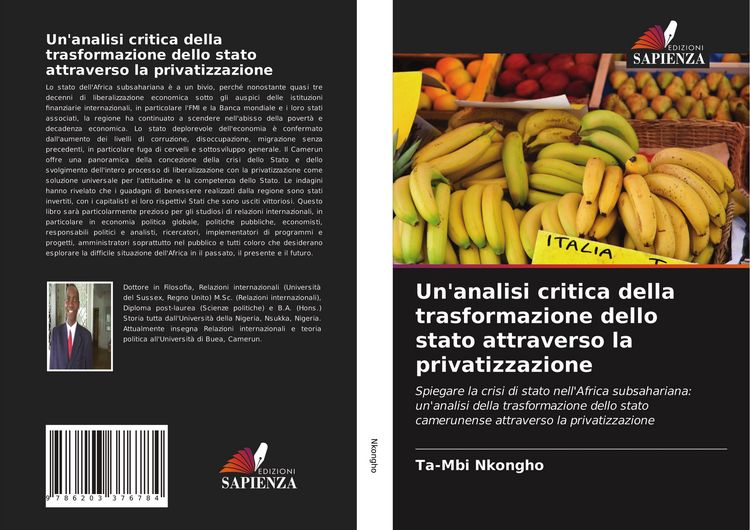 Produktbild: Un'analisi critica della trasformazione dello stato attraverso la privatizzazione