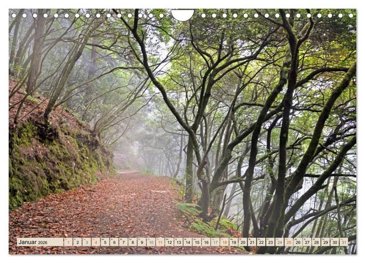 Produktbild: Magic Moments - LA PALMA (Wandkalender 2026 DIN A4 quer), CALVENDO Monatskalender