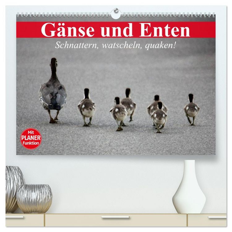 Produktbild: G&auml;nse und Enten. Schnattern, watscheln, quaken! (hochwertiger Premium Wandkalender 2026 DIN A2 quer), Kunstdruck in Hochglanz