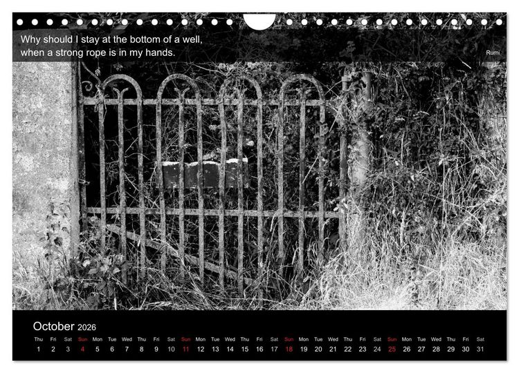 Produktbild: Through the Gate with Rumi (Wall Calendar 2026 DIN A4 landscape), CALVENDO 12 Month Wall Calendar