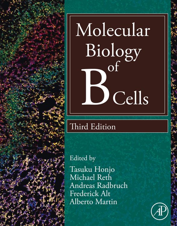 Produktbild: Molecular Biology of B Cells