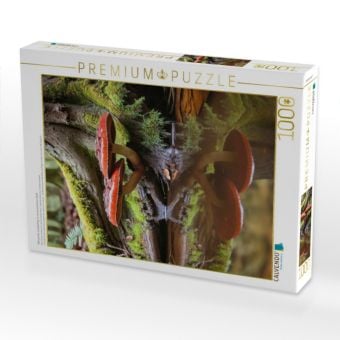 Produktbild: CALVENDO Puzzle Gl&auml;nzender Lackporling im verwunschenen Wald | 1000 Teile Lege-Gr&ouml;&szlig;e 64x48cm Foto-Puzzle f&uuml;r gl&uuml;ckliche Stunden
