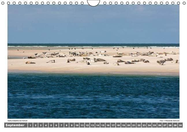 Produktbild: Nordsee - Impressionen einer Landschaft am Meer (Wandkalender immerw&auml;hrend DIN A4 quer)