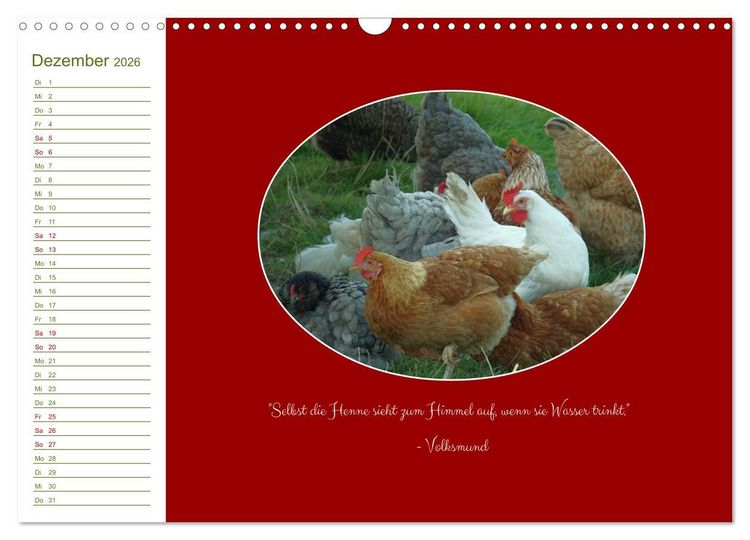Produktbild: Freilaufende H&uuml;hner (Wandkalender 2026 DIN A3 quer), CALVENDO Monatskalender