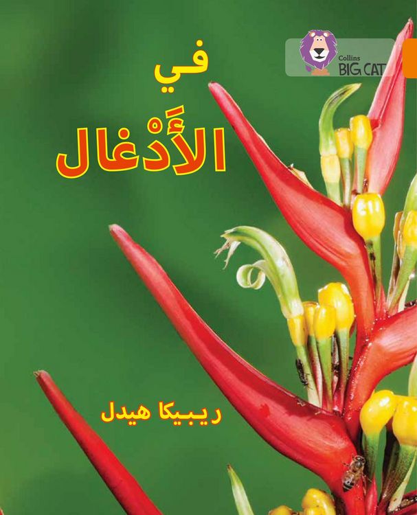 Produktbild: BIG CAT ARABIC - IN JUNG