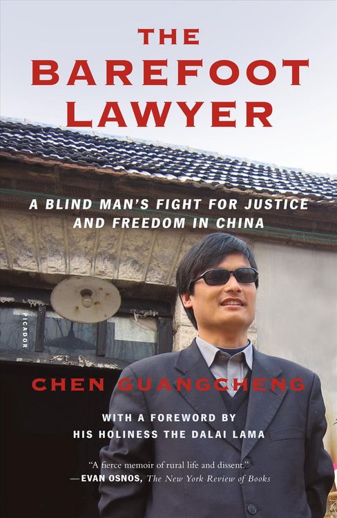 Produktbild: Barefoot Lawyer