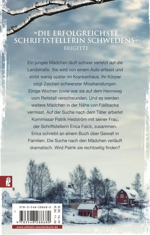Produktbild: Die Schneelöwin / Falck und Hedström Krimis Bd. 9
