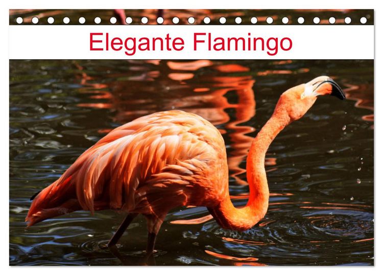 Produktbild: Elegante Flamingo (Tischkalender 2026 DIN A5 quer), CALVENDO Monatskalender